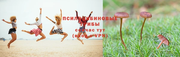 дурь Дмитров